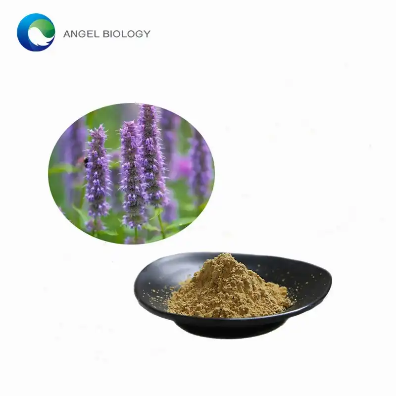 Antiviral Properties of Wrinkled Gianthyssop Extract